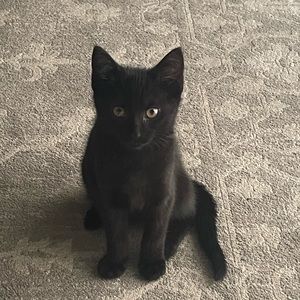 Meet your Posher, Olivia